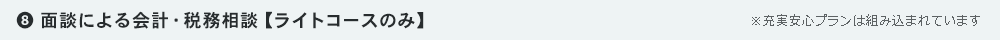 ❽ 面談による会計・税務相談【ライトコースのみ】